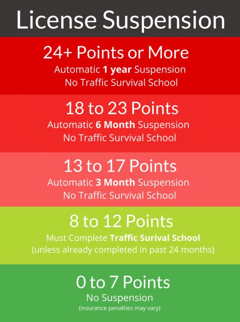 Easily Check Points On License: How Do I See How Many Points Are On My License